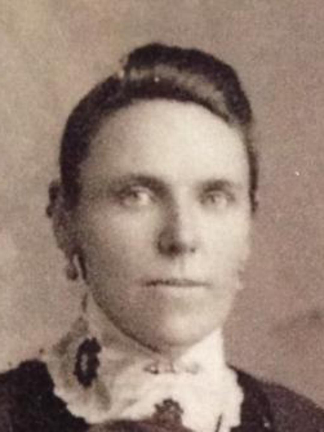 Eliza Ellen Young (1864 - 1930) Profile